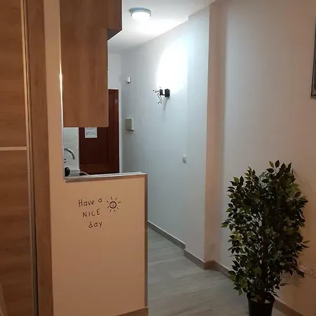 Apartamento Ayuntamiento Sunny Days *